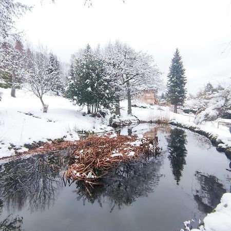 Le Manoir Au Lac เฌราร์แมร์ ภายนอก รูปภาพ