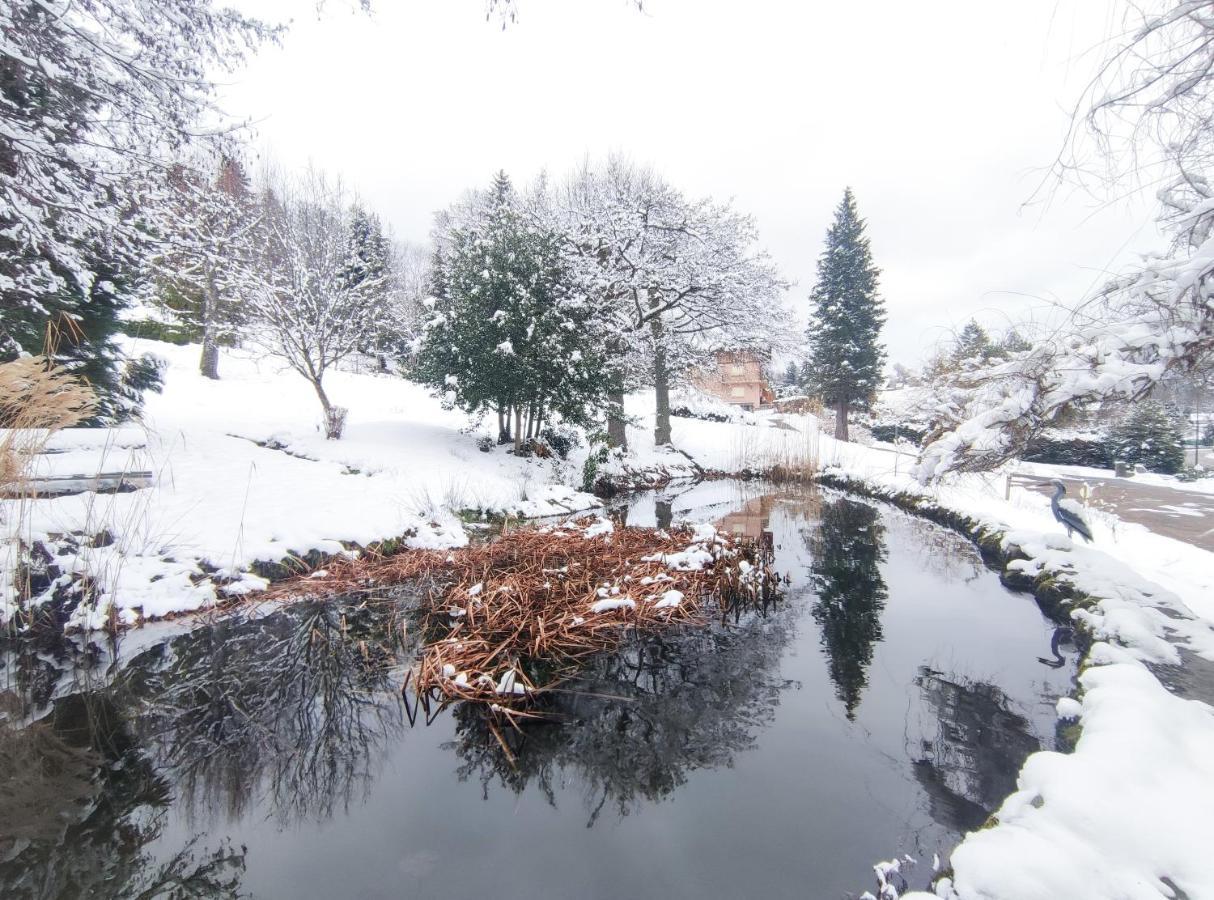 Le Manoir Au Lac เฌราร์แมร์ ภายนอก รูปภาพ